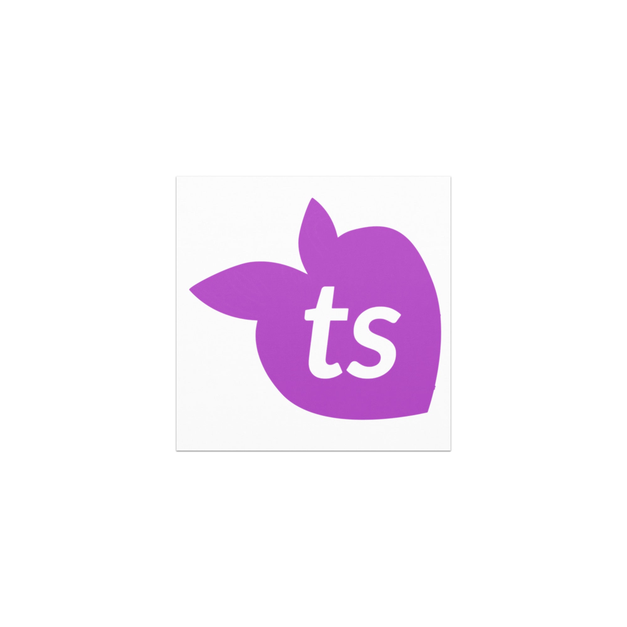 tsgabrielle® • Car Magnets • White • 2 Sizes