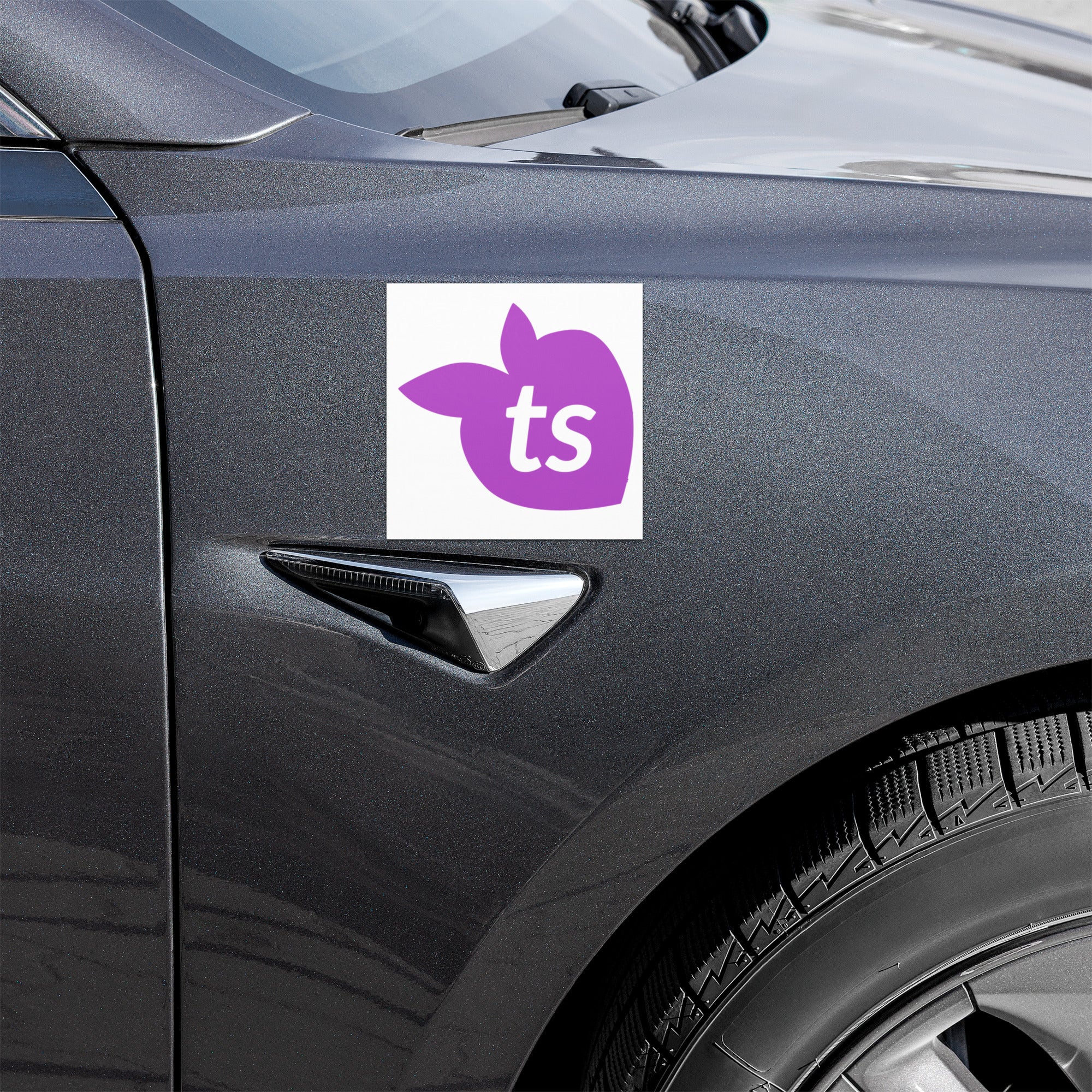 tsgabrielle® • Car Magnets • White • 2 Sizes