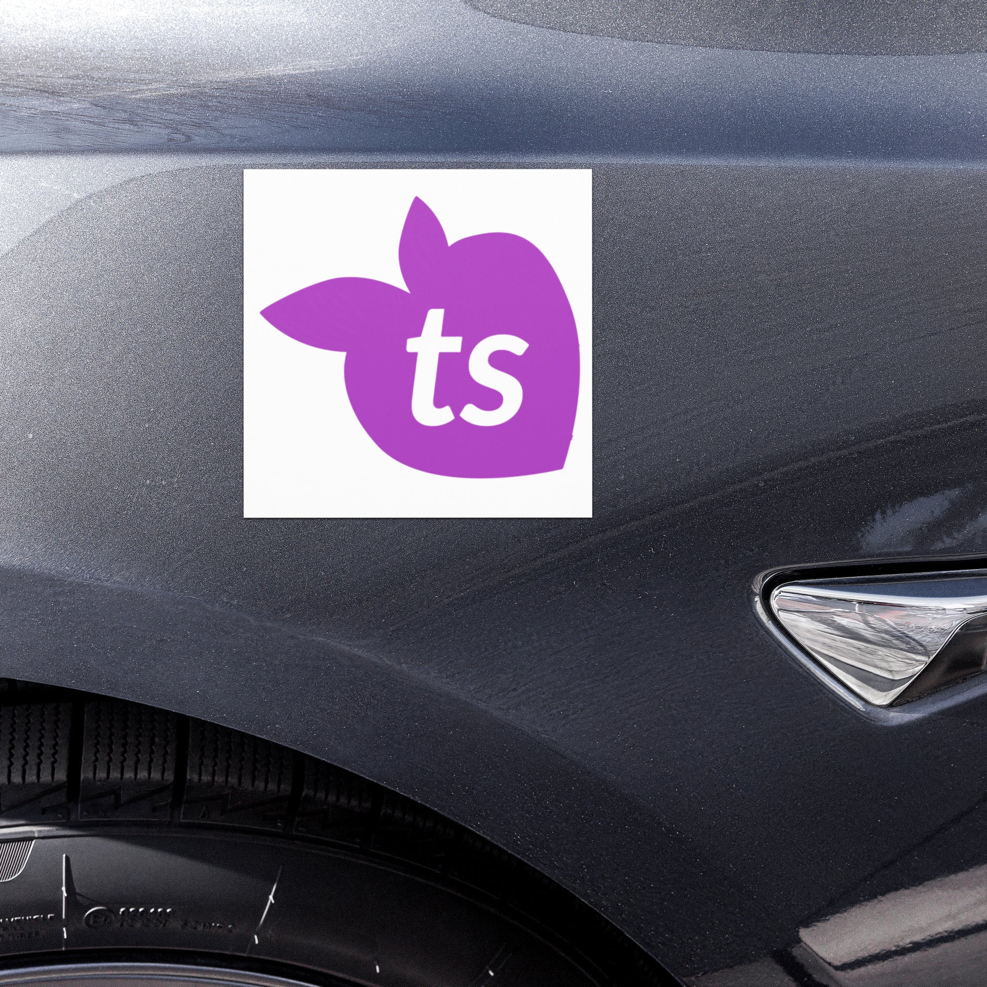 tsgabrielle® • Car Magnets • White • 2 Sizes