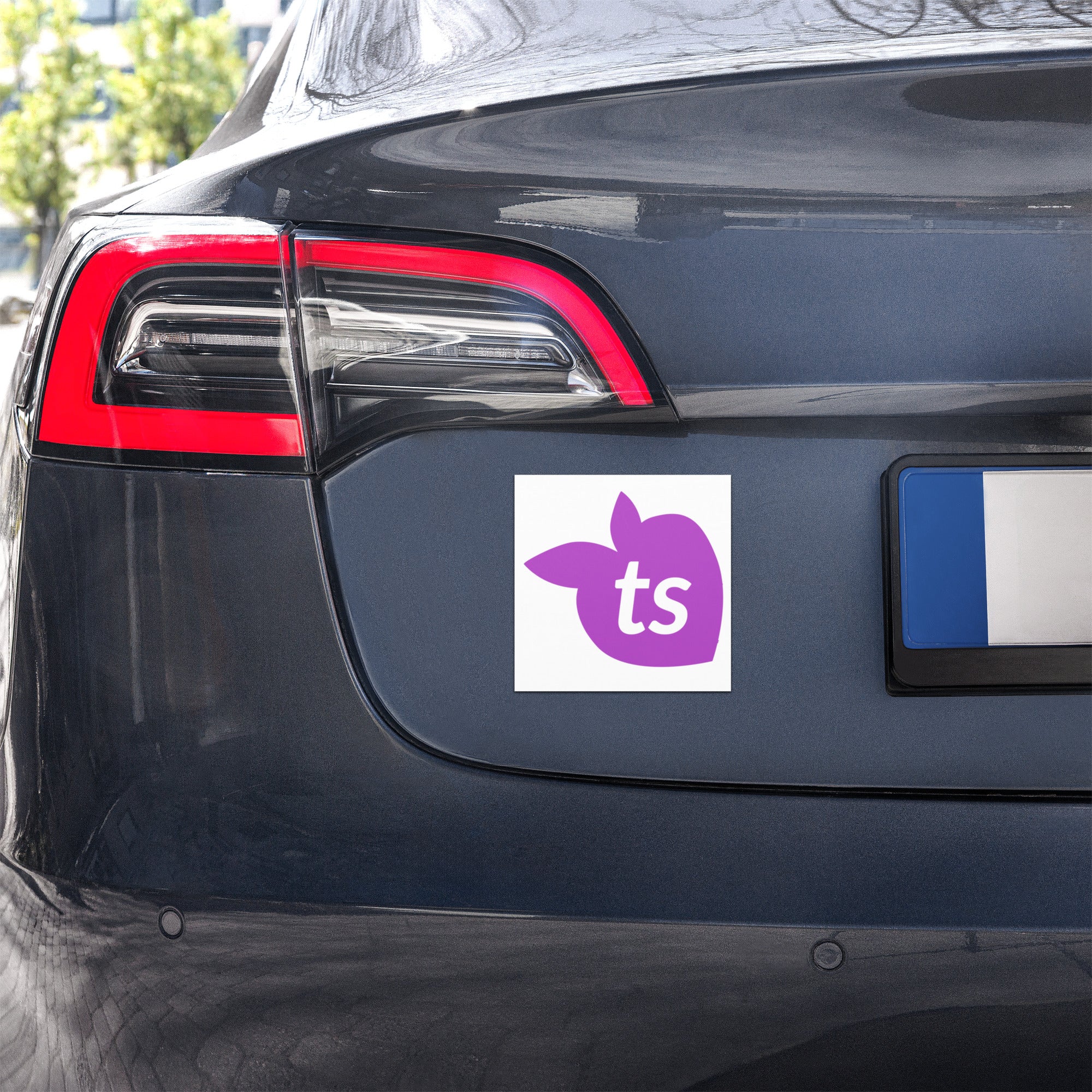 tsgabrielle® • Car Magnets • White • 2 Sizes