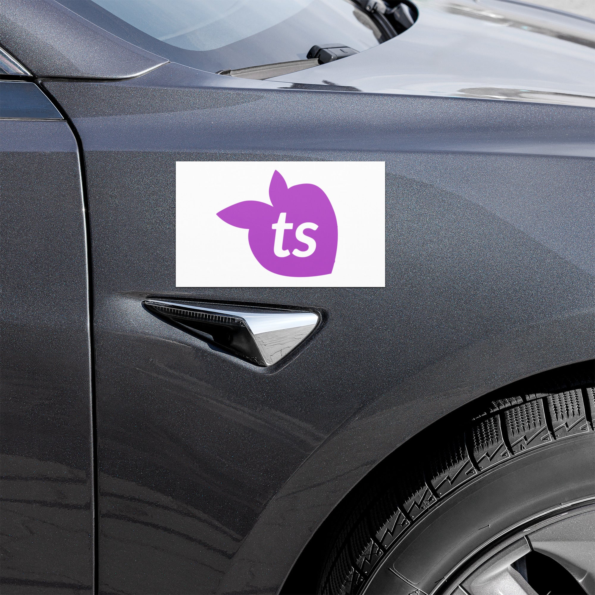 tsgabrielle® • Car Magnets • White • 2 Sizes