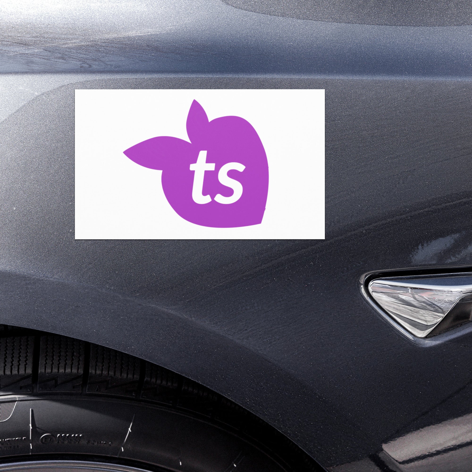 tsgabrielle® • Car Magnets • White • 2 Sizes