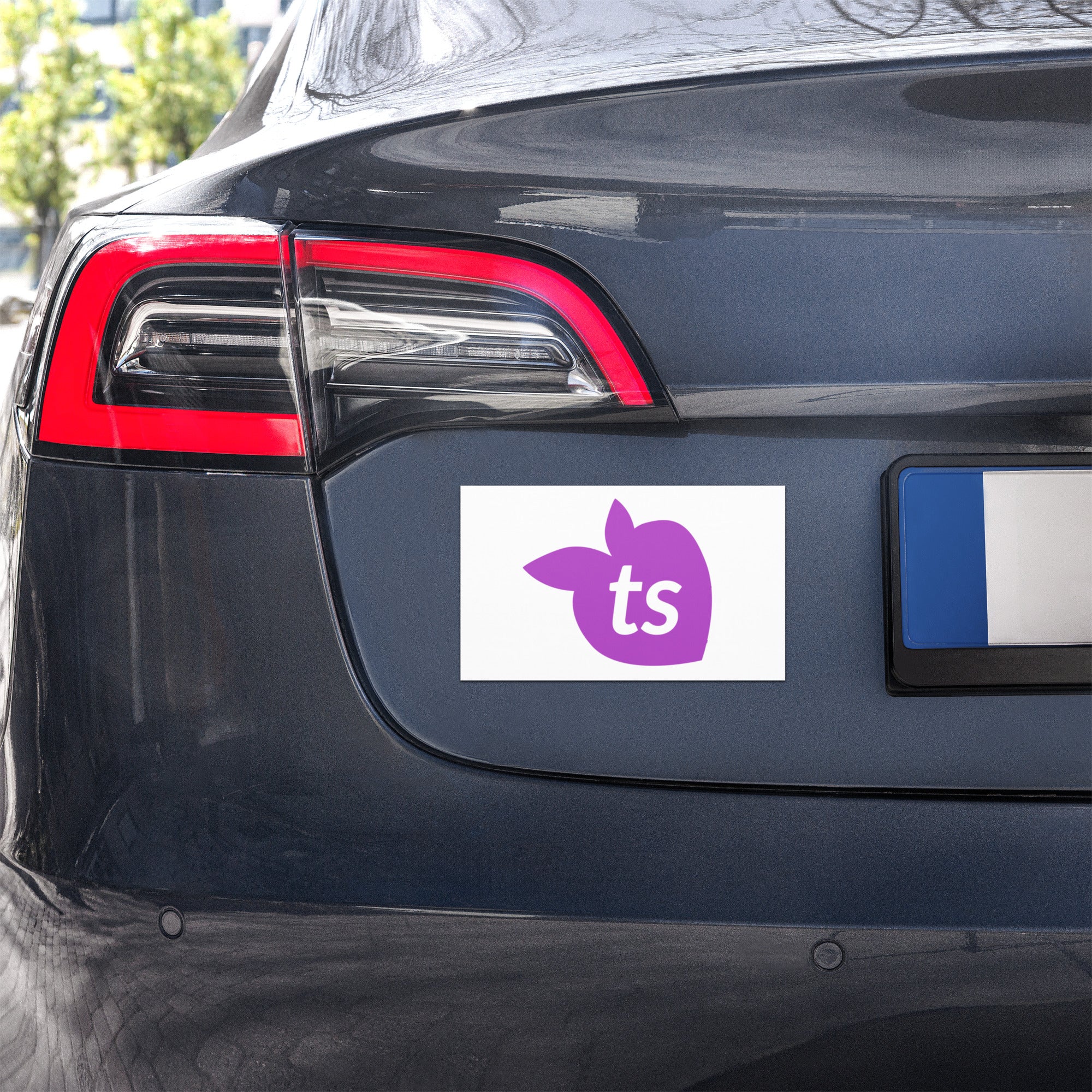 tsgabrielle® • Car Magnets • White • 2 Sizes