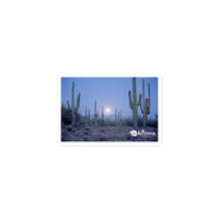 tsgabrielle® • Arizona 🌵- Saguaro National Park • Sticker Bubble-Free • 3 Sizes