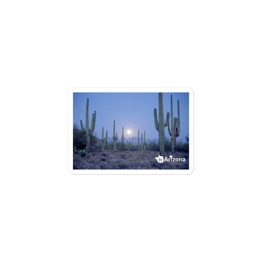 tsgabrielle® • Arizona 🌵- Saguaro National Park • Sticker Bubble-Free • 3 Sizes