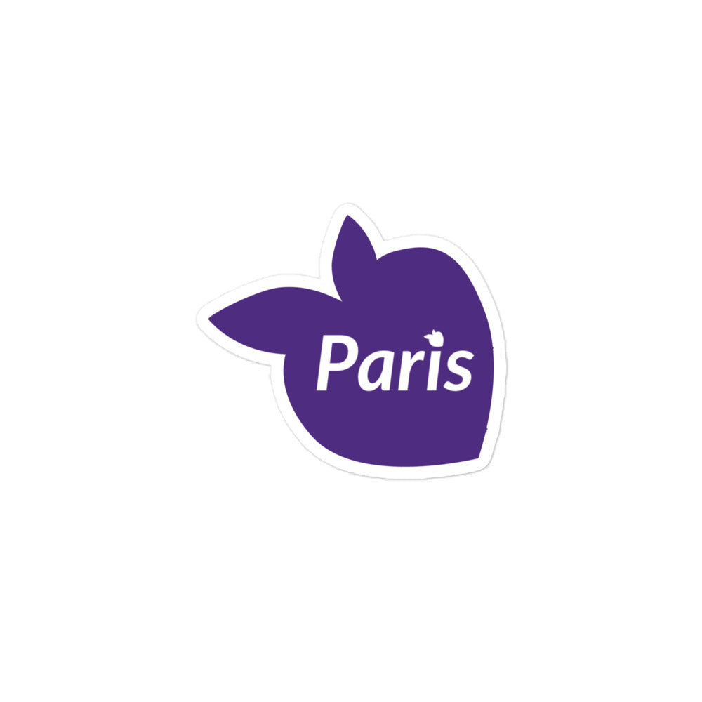 tsgabrielle® • Paris • Sticker • Bubble-Free • One Size • Paris Vinyl Travel