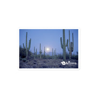 tsgabrielle® • Arizona 🌵- Saguaro National Park • Sticker Bubble-Free • 3 Sizes
