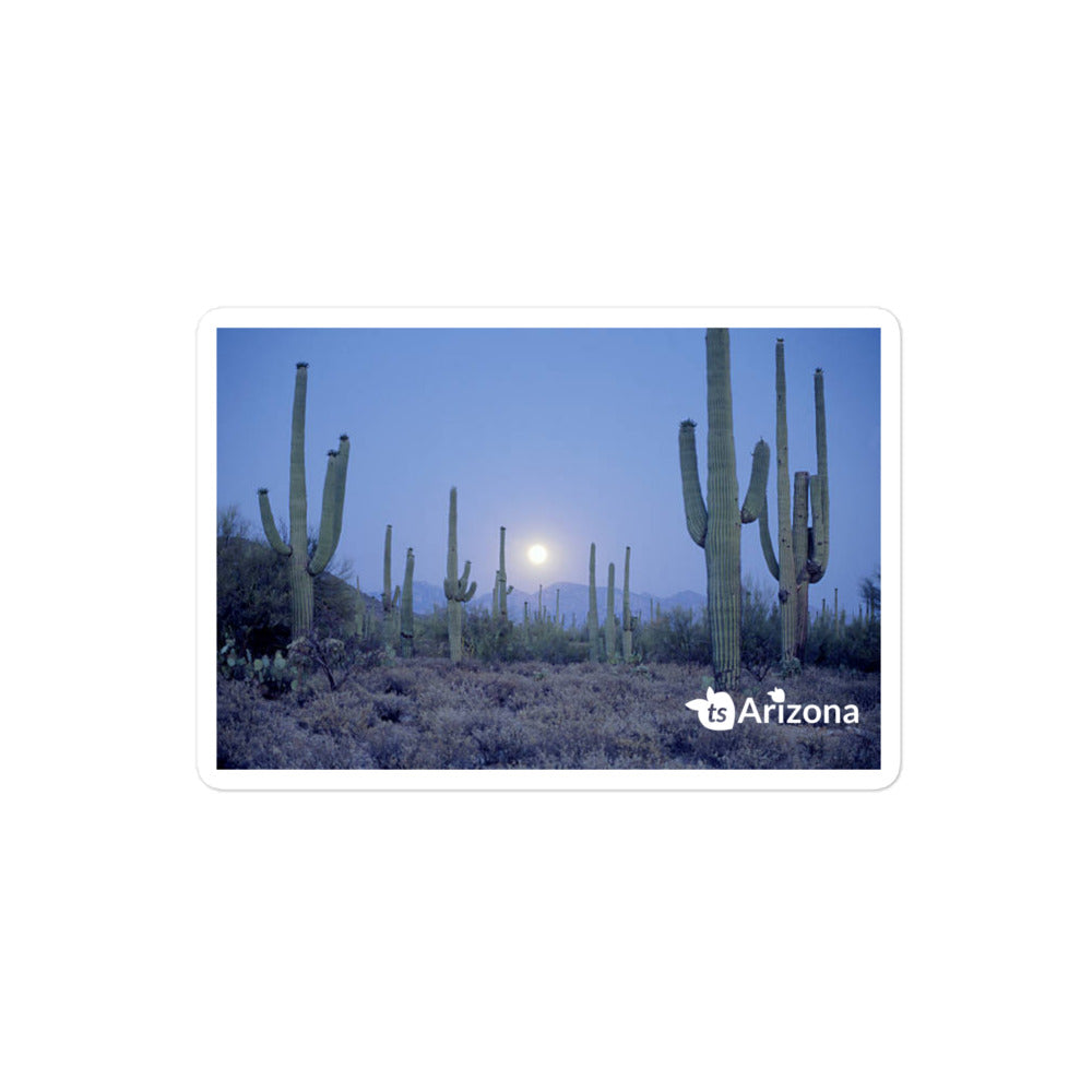 tsgabrielle® • Arizona 🌵- Saguaro National Park • Sticker Bubble-Free • 3 Sizes