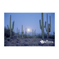 tsgabrielle® • Arizona 🌵- Saguaro National Park • Sticker Bubble-Free • 3 Sizes