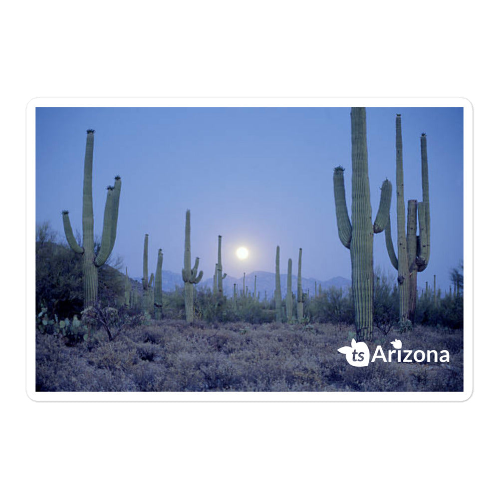 tsgabrielle® • Arizona 🌵- Saguaro National Park • Sticker Bubble-Free • 3 Sizes