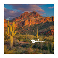 tsgabrielle® • Arizona 🌵- Tucson Mountain Range • Sticker Bubble-Frees • 3 Sizes
